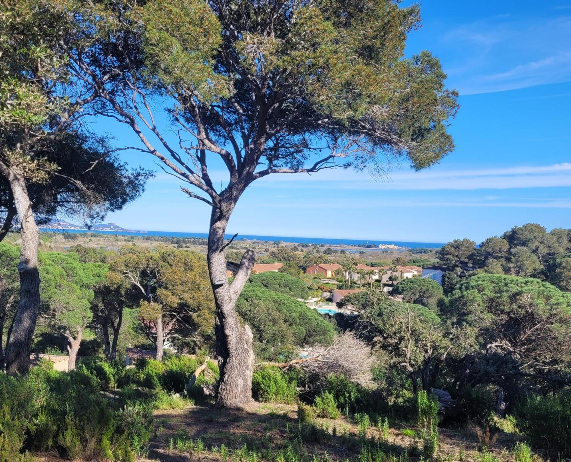 La Joya De Villepey Saint Aygulf Eksteriør bilde